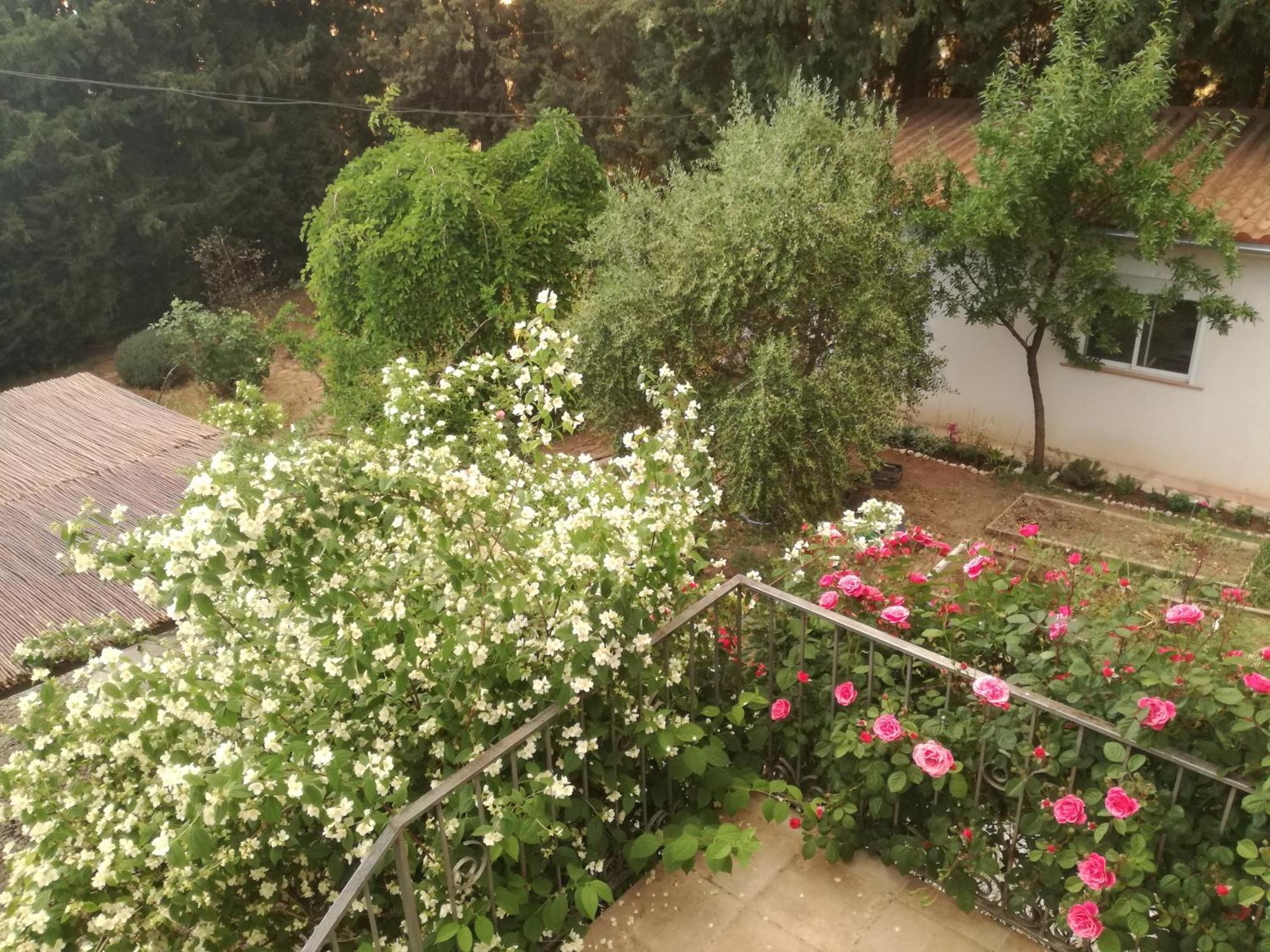 Casa Con Jardin Y Aparcamiento En Viznar, Junto A Granada 빌라 외부 사진
