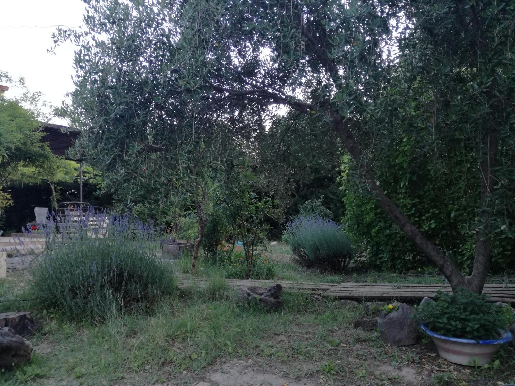 Casa Con Jardin Y Aparcamiento En Viznar, Junto A Granada 빌라 외부 사진