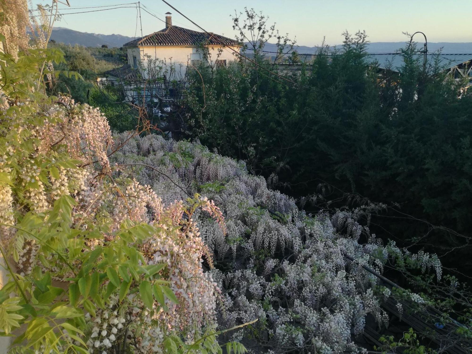 Casa Con Jardin Y Aparcamiento En Viznar, Junto A Granada 빌라 외부 사진